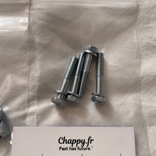 Chappy Yamaha bridge screw