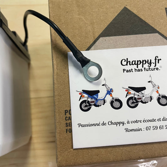 6V full acid battery