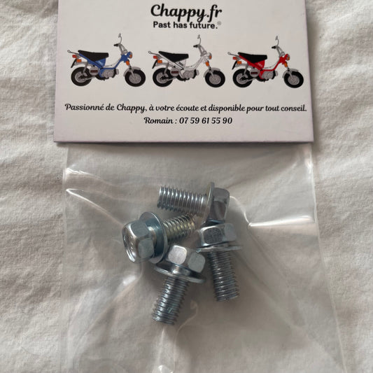 Chappy Yamaha short rim screws
