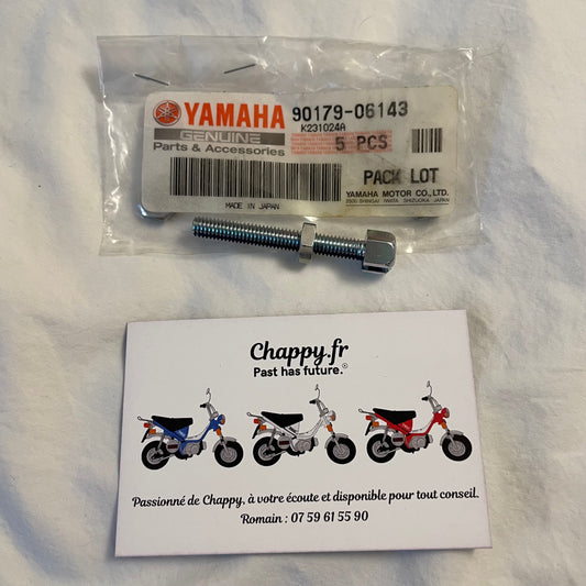 Chappy Yamaha front brake flange screw and nut