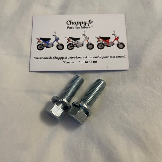 2 Chappy Yamaha fork support screws