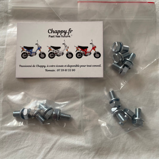 Small screws original Chappy Yamaha