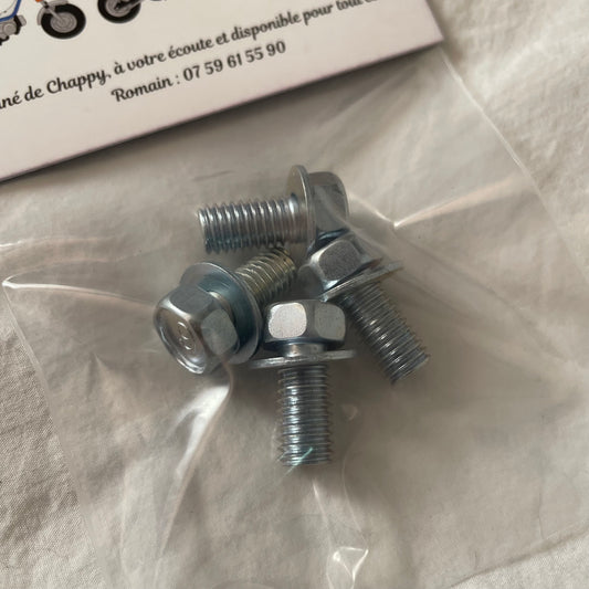 Chappy Yamaha short rim screws