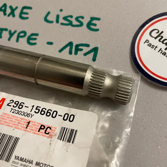 Kickstarter axle (type 1F1) Chappy Yamaha