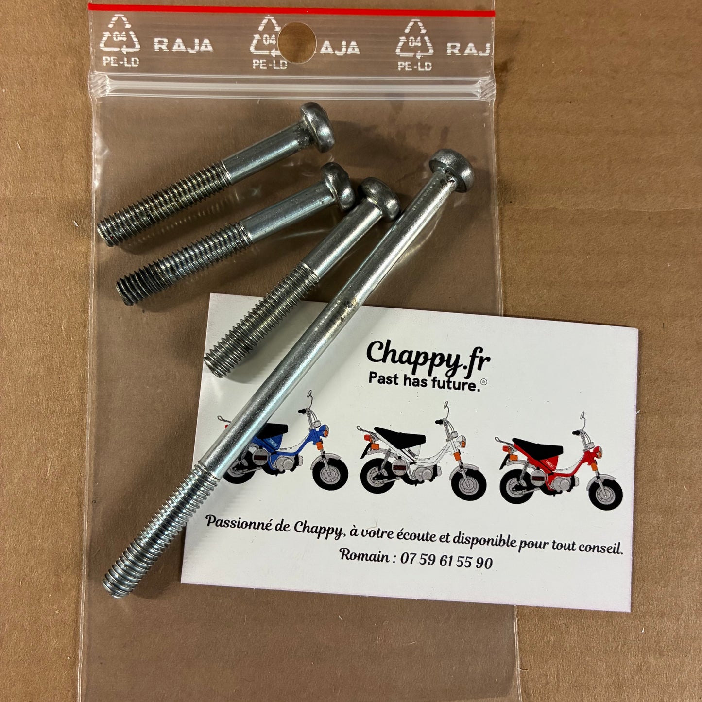Vis carter allumage - Chappy Yamaha