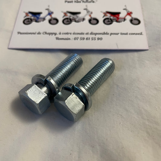 2 Chappy Yamaha fork support screws