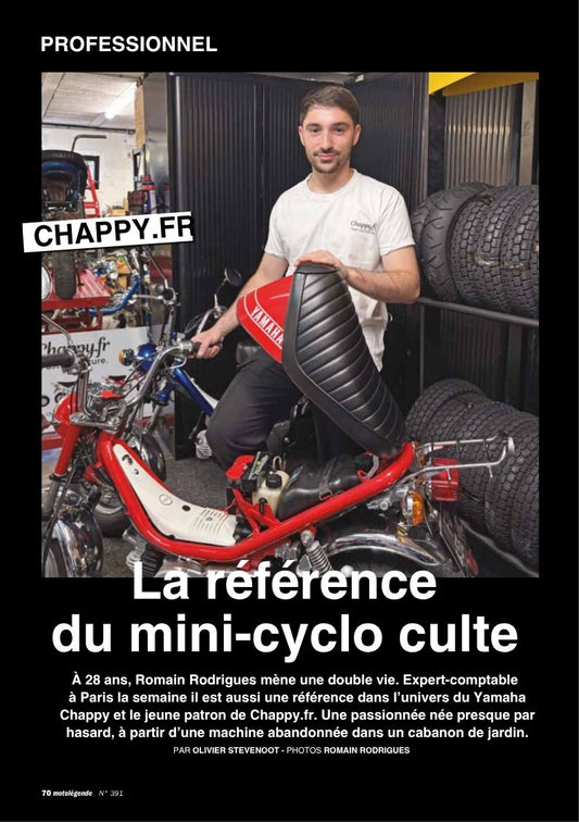 Article