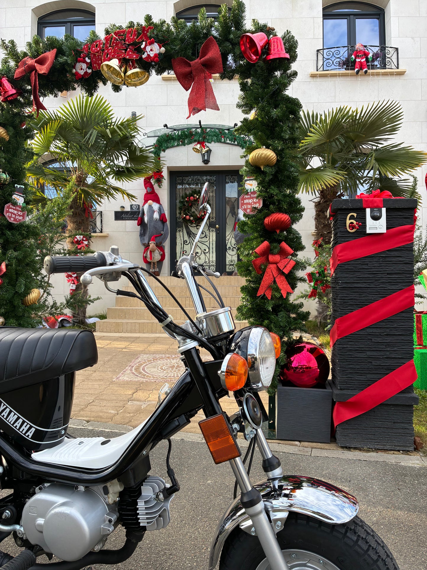 Chappy 13F - Black (Vendu)