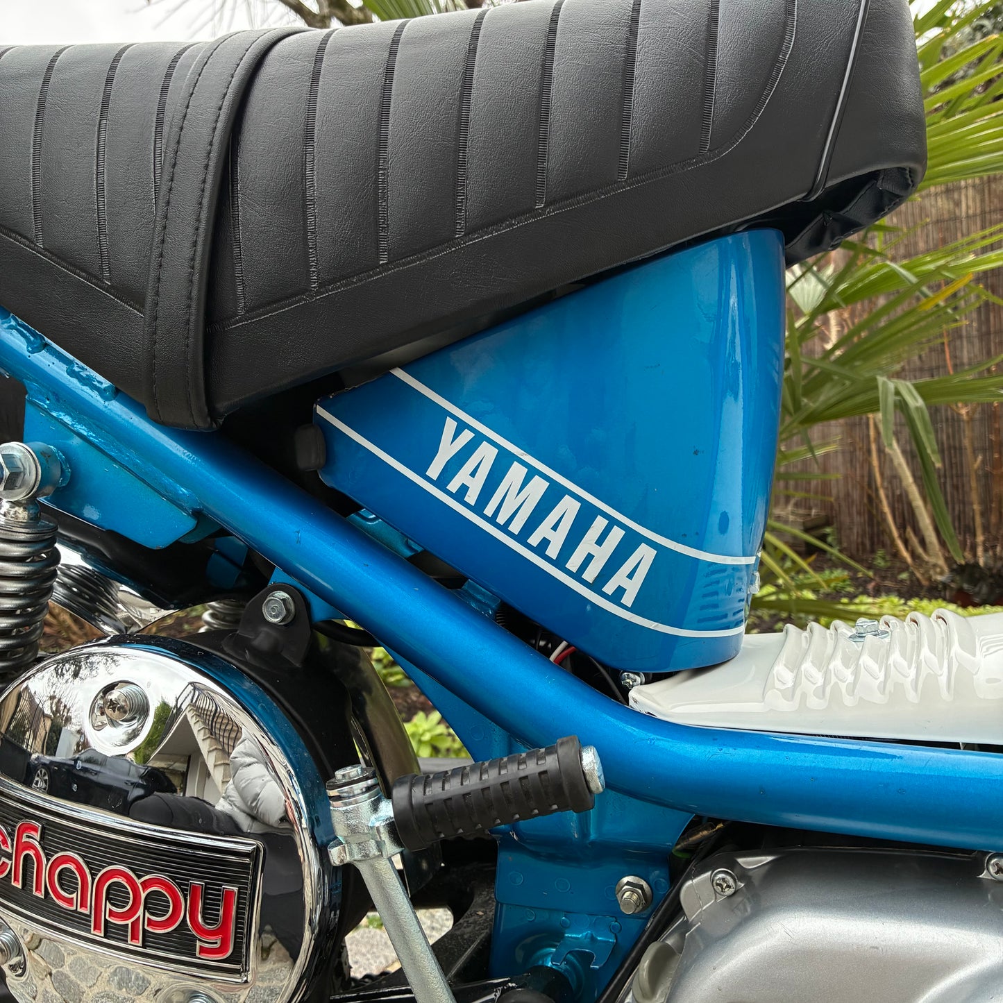 Chappy 13F - Candy Blue