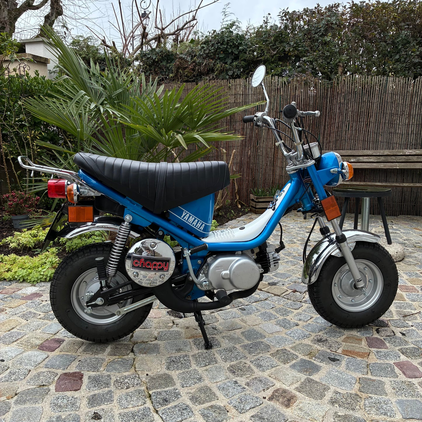 Chappy 13F - Candy Blue