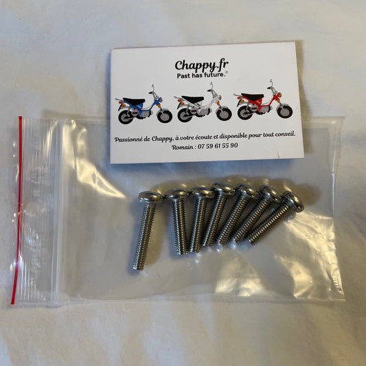 Chappy Yamaha oil pan screw