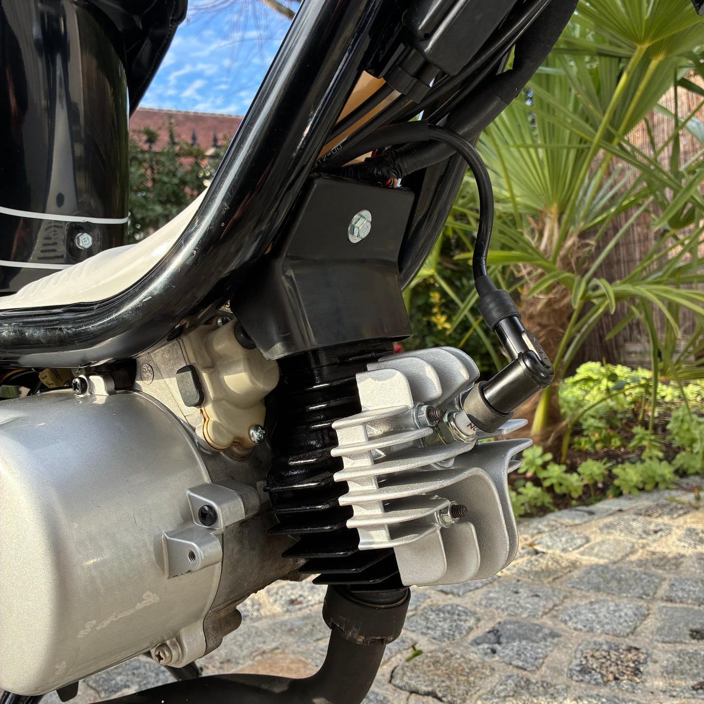 Chappy 13F - Black (Vendu)