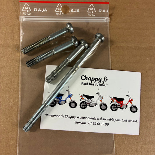 Vis carter allumage - Chappy Yamaha