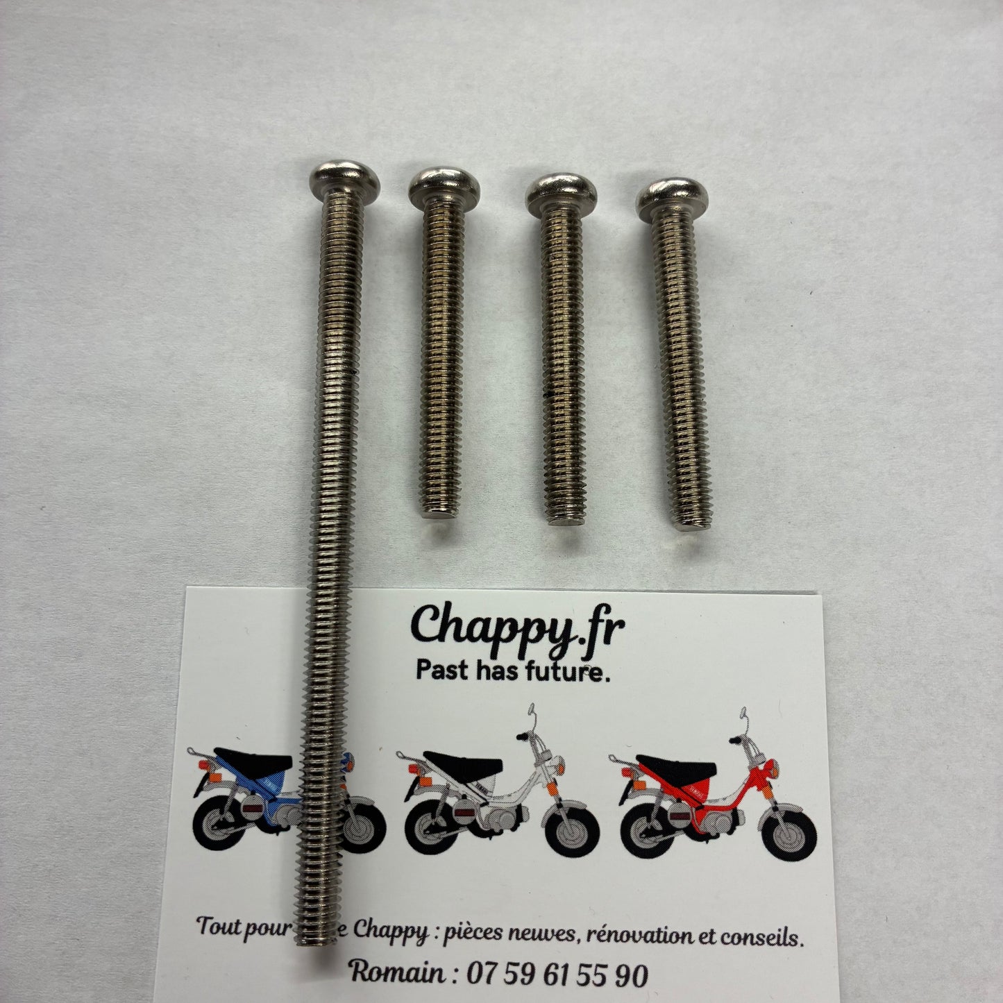 Vis carter allumage - Chappy Yamaha