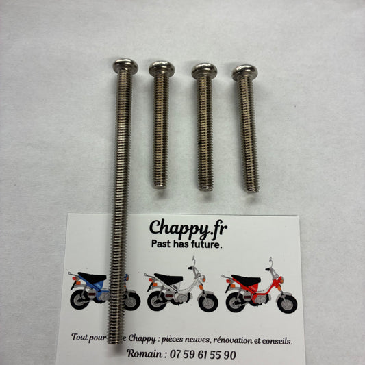 Vis carter allumage - Chappy Yamaha